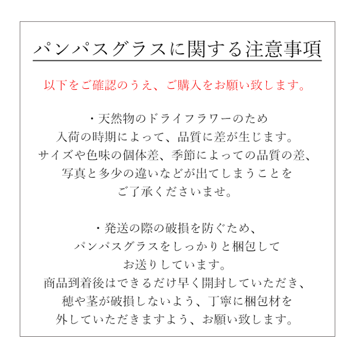 特大パンパスグラス♪お得な10本セット⭐︎とても良質です♡長いサイズですよ〜 big-pampas-1.jpg