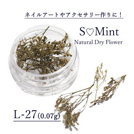 楽天市場 ネイル 押し花 葉っぱの通販