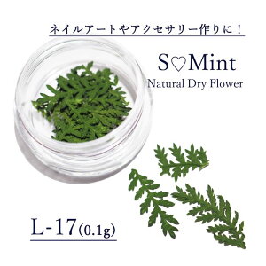 押し花 ネイル パーツの人気商品 通販 価格比較 価格 Com