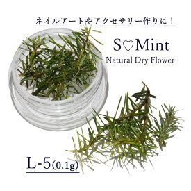 楽天市場 ネイル 押し花 葉っぱの通販