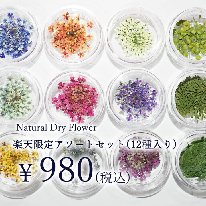 楽天市場 初めての方にお勧め 楽天限定アソートセット 12種 ネイルアート アクセサリー ハンドメイドに エスミント ナチュラル ドライフラワー 高品質 押し花 ドライフラワー 押し花ネイル 花材 アクセサリーパーツ ネイルパーツ Smint