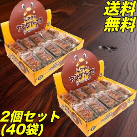 ヤングドーナツ 20袋（1袋4個入り） × 2箱セット　業務用 宮田製菓 ミニ ドーナツ 大容量 まとめ買い 大人買い 懐かしい 昔ながら 味 駄菓子 定番 おやつ お菓子 子ども 人気 甘い 美味しい 揚げ菓子 焼き菓子 砂糖 菓子 老舗 ミヤタ 国産 スイーツ