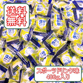 【156粒 486g】塩分チャージタブレッツ 塩タブレット スポーツドリンク味 業務用 大容量 夏バテ予防 熱中症対策 ラムネ 塩分補給 運動会 作業