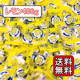 【156粒 486g】カバヤ 塩分チャージタブレッツ 塩タブレット 塩レモン味 kabaya 業務用 大容量 詰め合わせ セット 夏バテ予防 熱中症 熱中症対策 ラムネ 塩分補給 運動会 作業 塩分タブレット