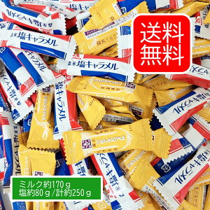 Xi ~NL L 2 v55i~N 170gA80g v250gj L  َq lߍ킹 L 