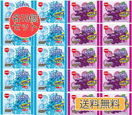 チューキャン ソーダ グレープ 2種 アソートセット 各10個 計20個 大容量 お菓子 ソフトキャンディ チュ…