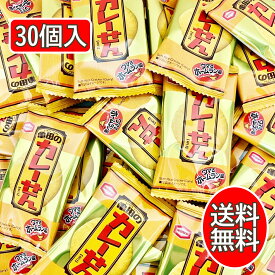 亀田製菓 カレーせんミニ 個包装 30枚入 小袋 まとめ買い 業務用 大容量 詰め合わせセット 煎餅 せんべい