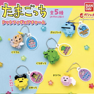 yS5Rv[gZbgz܂@hbgtBMA`[@o_C@K`@KV|@JvZgC