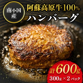 南小国産 阿蘇高原牛 ハンバーグ 600g 物産館 特産品 南小国町 きよらカァサ 九州 熊本 阿蘇