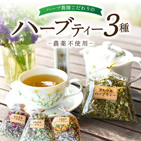 ハーブティー 3種 農薬不使用 自然栽培 オーガニック 《 レモングラス レモンバーム ミント カモミール ラベンダー ローズ カモミール ローゼル ローズヒップス ホットマリーゴールド レモンバーベナ 》 南小国町 きよらカァサ 熊本 阿蘇