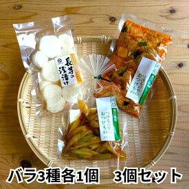 平野朝光商店　阿蘇の浅漬　3種食べ比べ　漬物　野菜　熊本　阿蘇　南小国町　きよらカァサ