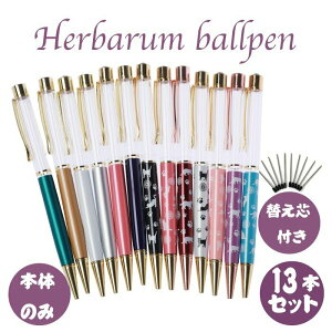 n[oE{[y 13{Zbg ւct {̂̂ S[h  Lbg nhCh nhNtg