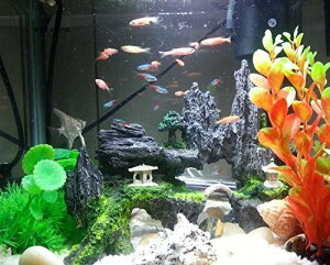 熱帯魚 水槽レイアウト デコレーションセット 水族館風オーナメント 石・植物風・橋付き クーポン対象★ 送料無料