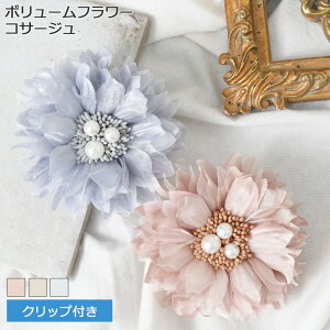 {[t[NbvtRT[W fB[X  w p[ tFCNp[ Ǝ q tH[}  u[`  t[  }}X[c X[c }} 