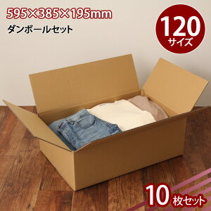  _{[ z120TCY 10Zbg  (ED-11) i{[  z z z [ ۊ  ݂ ʔ ב  lbgVbv I[NV t}Av 傫 ^
