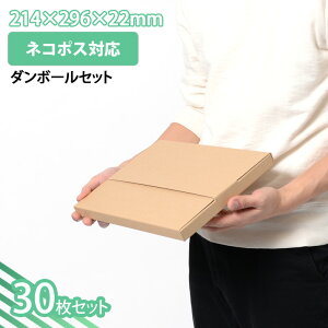  A4TCY Ƃ_{[ 30Zbg lR|XpJ[g (NP-1) i{[  z ʔ  lbgVbv I[NV t}Av `O ^  䂤pPbg z 