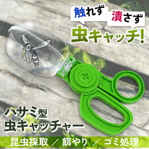 G炸ߊlInT~^Lb`[  ߂ Lb`[ 莝 nT~ ͂  nT~^ Jbv ybgp aLb`[ GT ঒ ߊl ߒ   ߊl ώ@ 