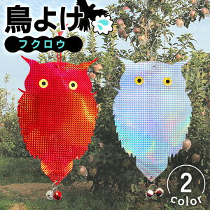 _{XEVENT^ Iׂ2J[悯t˔tNE tNE 悯  ΍ 悯ObY  JX  ng JX悯 悯 t   ΍ 쏜 he[v zO