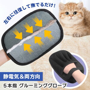 _{XEVENT^  ybgpi5{wfUCÓdCuVO[~OO[u 炭炭уO[u ybg  p ^ ^ ^ L Lp O[~O O[