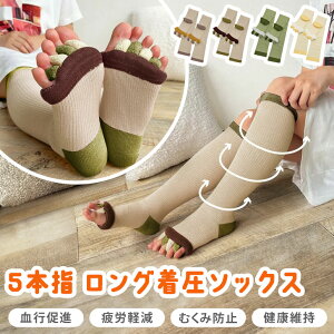 _{XEVENT^  N bNX 5{w zF O  \bNX fB[X C \bNX 5{w\bNX [\bNX ނ si Jy O w L 