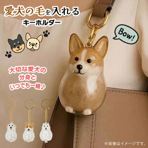  Iׂ3ތ̖т遝NAL[z_[   ̖ ̖т [ L[z_[ {g P[X JvZ obO`[ ybg ybgpi  ѓ { 