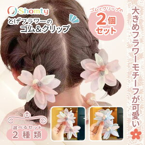 y{P4{ʃN[|zzz wAS wANbv LbY 2 Zbg Ƃ t[ Nbv pXe J[   ̎q v[g Shomty