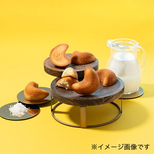 博多美月しっとりミルクフィナンシェ 16個 風美庵 お歳暮 福岡 お土産 おみやげ 九州 帰省土産 ギフト プチギフト 博多(小倉)土産 ご挨拶 贈答 手土産 お取り寄せ 贈り物 駅 空港 日持ち 新