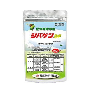 ΌoCITCGX  VoQDFa20g