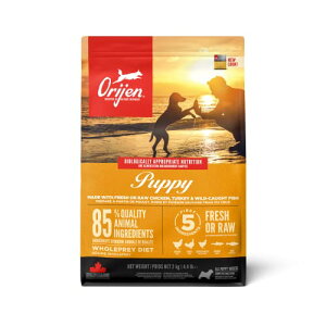 �y���K�i�z�J�i�_�Y �I���W�� �p�s�[ 2kg Orijen dogfood puppy
