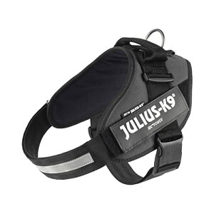 EXP[iC IDCp[n[lX OC 2