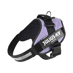 EXP[iC IDCp[n[lX p[v 3