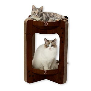 �L�� �o���o���{�E���^���[�c (���M�����[ �_�[�N�u���E��)