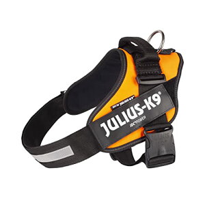 EXP[iC IDCp[n[lX UVIW 1