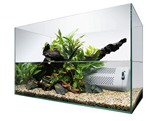 eg (Tetra) eg TCgtbNXZbg 60  ANAE Mы _J  ̑ 