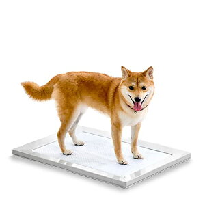 ACXI[}  gC XNGAhbOg[ ނ }Olbg Ch x[W 􂢉