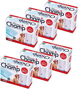 yOFTz hM[y[ J[gbW ւ[ 6Zbg i1×6j  L gC S~ [ L L ybgV[c gC