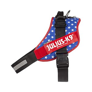 EXP[iC IDC pn[lX Other AJ 4