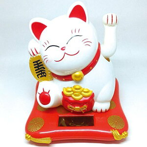 (PLUS COMFORT) L \[[   15cm ^ ^ ( rbOTCY)