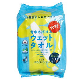 コジット 防災・災害時・介護・アウトドアに　COGIT防災　背中も拭ける大判ウェットタオル 個包装 30包入