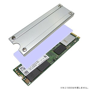 �e�a�Y�� �������쏊 M.2 SSD�p�q�[�g�V���N�J�o�[SS-M2S-HS02