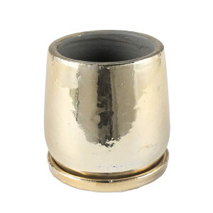 �_���g��(Dulton)ROUND POT GOLD M