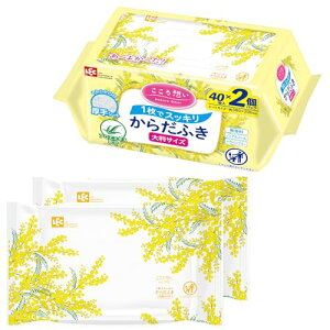 ���b�N(LEC) ������z�� ��l�p ���炾�ӂ� �唻����^�C�v (30×20cm) 40��×2P / ��v�ȃV�[�g�ł�������@����/���{��/��