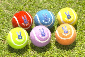 楽天市場 ジャックバニー ボール ゴルフ スポーツ アウトドアの通販