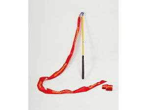 y{̓ŃXCO`FbNXCOKJeS[LOfڏiIzXibOSt Xibp[ łł St g[jOpi XCOK St̗Kɂ