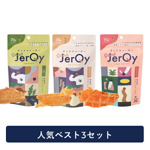 y11/3܂Ń|Cg20{zy3ܓzy^pNzySYz`LW[L[ XibN~[ v~A ObhW[L[ 3ܓ Y ς ᎉ ܂