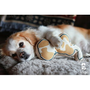 yGg[P10{420:00~1101:59܂ŁzyĂ̔؂Z[I50%OFFȏ̏iIzDOGS FOR PEACE hbOXtH[s[X DOG ICON BODY PILLOW hbOACR 960006559 y pi  Nb