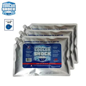 �y�G���g���[��P10�{��4��20:00-10��01:59�܂ŁzCOOLER SHOCK �N�[���[�V���b�N COOLER SHOCK Large 3pcs�Z�b�g 7CSLSET �y �ۗ�� �A�E�g�h�A �L�����v BBQ �z