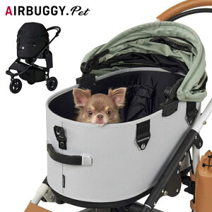 yĂ̔؂Z[I50%OFFȏ̏iIzAIRBUGGY GAoM[ DOME3 REGULAR h[3M[ Earth Black AD320 y ybgJ[g ybgL[ hbOJ[g ^ ^  o U