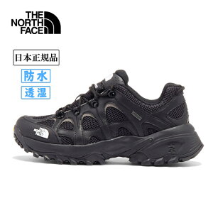 yGg[P10{2420:00-279:59܂ŁzTHE NORTH FACE UEm[XEtFCX Hedgehog RVST GORE-TEX wbWzbORVSTSAebNX NF02541 y C Xj[J[ V[Y h  {Ki z ySS250