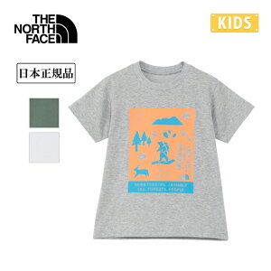yGg[P10{11/1 10:00-12/1 09:59܂ŁzTHE NORTH FACE UEm[XEtFCX T S/S Shiretoko Toko Tee gh[V[gX[uVgRgReB[ NTT32534ST y {Ki TVc  qǂ 